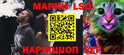 spice Моздок