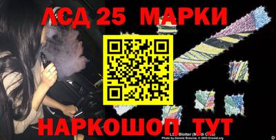 spice Моздок
