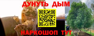 spice Моздок
