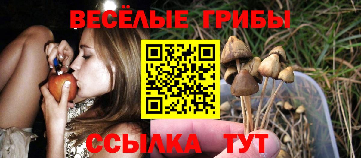 Георгиевск  Галлюциногенные грибы Cubensis  Вход с VPN 